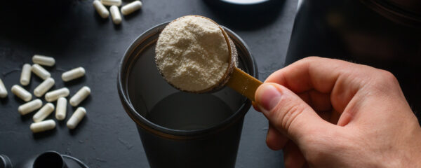 protéine Whey